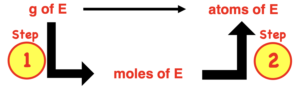 Graphic organizer explaining grams to atoms conversions.