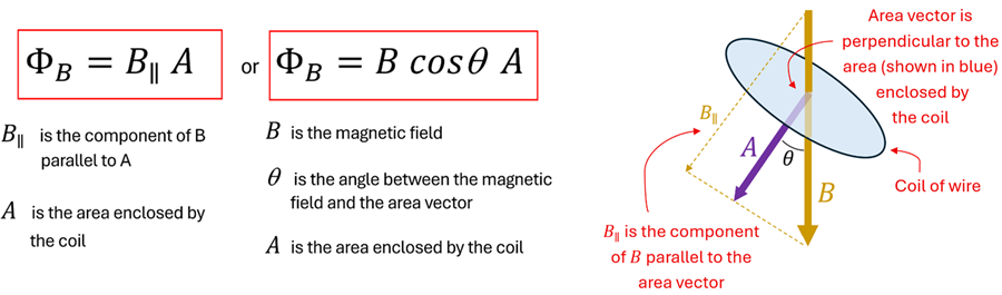 A picture showing the two equations for calculating the magnetic flux.  Magnetic Flux = B sub II Time A (where B sub II is the component of B parallel with A), or Magnetic Flux = B cosign Theta times A.  In both A is the area enclosed by the coil.