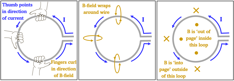 A diagram showing how the right hand rule can show the magnetic field direction in a loop of wire. Each box has a loop of wire with a counter clockwise flow of current. The first show three right-hands on the coil, the second box shows the magnetic field direction based on those right hands, the third shows that inside the loop the magnetic field points towards the viewer out of the page (represented by dots), and outside the loop the fields point away from the viewer (represented by x)