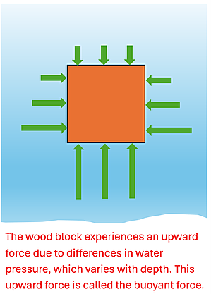 A square wooden block is displayed with green force arrows on all sides. The top arrows are small, and as the depth increases, the force arrows get larger (the sides of the square have small force arrows at the top and larger ones as it goes to the bottom), and very large force arrows on the bottom pointing upwards. The text reads that The wood block experiences an upward force due to differences in water pressure, which varies with depth. This upward force is called the buoyant force.