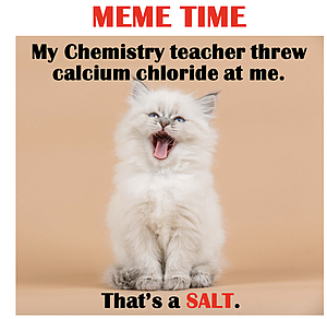 Chemistry Meme – My chemistry teacher threw calcium chloride at me;  that's a salt.