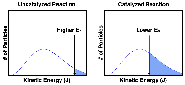 Two Boltzmann energy distribution curves for a catalyzed and an uncatalyzed reaction; activation energy is shown; particles exceeding activation energy is shaded.