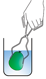 Apparatus for common lab experiment for the study of the volume-temperature relationship.