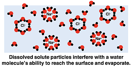Particle diagram showing solvated ions of an aqueous solution of NaCl and explaining why the presence of solute particles lowers the vapor pressure.