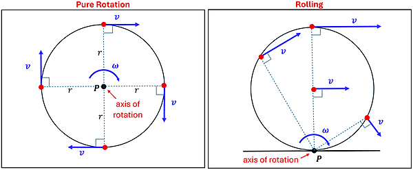 A diagram of Pure rotation (axis of rotation center) vs. Rolling (axis of rotation on bottom).  Both show a circle with 4 points and blue vector lines, and dotted lines representing the radius.  The left diagram (Pure rotation) shows the point of rotation P at the center, 4 dots at 0, 90, 180, and 270 degrees, each with a straight tangential velocity of the same magnitude and the same radius.  On the right is a picture of rolling to the right, where the axis of rotation P is on the bottom, different radius lengths point to the axis of rotation on the bottom with tangential velocities of different directions and magnitudes due to what tangential is from that point to the bottom and the varying radius lengths.