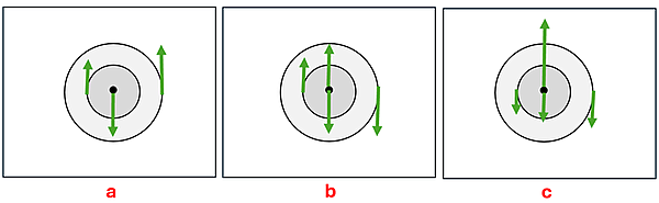 Three force diagrams are displayed with different force vectors on the left inner disc, the center, and the right outer disc. They are labeled a b and c. Force vectors given from left to right, A has a small upward force vector on the left, a medium downward force vector on the center, and a medium upward force vector on the right. B has a medium upwards force vector on the left, an equal up and down sized force vector on the center, and a medium downward force vector on the right. C has a small downwards force vector on the left, a large upwards and a small downward force vector on the center, and a medium downward force vector on the right.