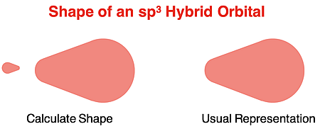 Shape of an sp3 hybrid orbital.