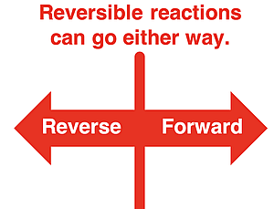 Reversible reactions can proceed in either direction.