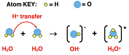 A particle diagram showing proton transfer for water's self-dissociation reaction.
