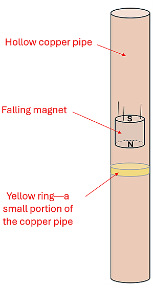 A hollow copper pipe with a strong neodymium magnet falling through it (south end up, north end down). A yellow 'ring' in the copper portion of the pipe is highlighted as the magnet approaches it.