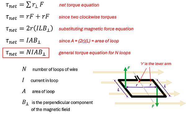 A picture of showing how to get the net torque (T net) equation. The equation is ultimately T-Net (net Torque) = Number of Loops of wire (N) times Current in Loop (I) times Area of Loop (A) times the Perpendicular Magnetic field (B).
