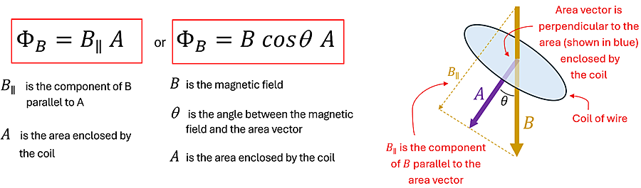 A picture showing the two equations for calculating the magnetic flux. Magnetic Flux = B sub II Time A (where B sub II is the component of B parallel with A), or Magnetic Flux = B cosign Theta times A. In both A is the area enclosed by the coil.