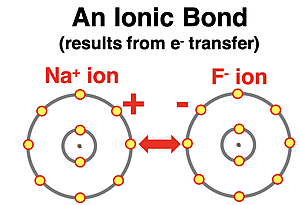 Electron shell diagrams representing the ionic bond between Na and F atoms.