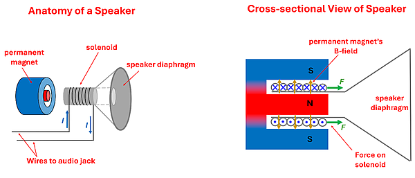 A diagram of a speaker, with a circular permanent magnet (south on the outer ring and a norther inner ring with a gap between), a solenoid that sits inside of that gap with a current carrying wire, attached to a speaker diaphragm.  In a cross sectional the solenoid experiences the same direction on both sides since the magnetic field and current are in different directions, resulting in a greater net force either away or towards the magnet depending on current direction.