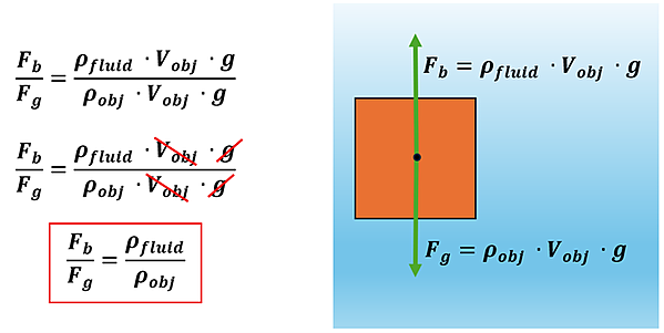 A Full Body Diagram is shown on the right of an object, and the equations on the left. For the object, a dot is drawn in the center, and an arrow pointing up labeled F sub b (Buoyant force) = rho sub fluid (density of fluid it's floating in) times V sub obj (volument of object) times g. Another arrow is drawn, this one down with F sub g (Force caused by gravity) = rho sub object (density of the object) times V sub obj (Volume of the object) times g. The equations then show that the ratio of F sub b over F sub g = the product of rho sub fluid times V sub obj times g over the product of rho sub obj times V sub obj times g. The V sub obj and g values cancel out, so the ratio of the Buoyant Force over Force of Gravity = the density of the fluid over the density of the object.