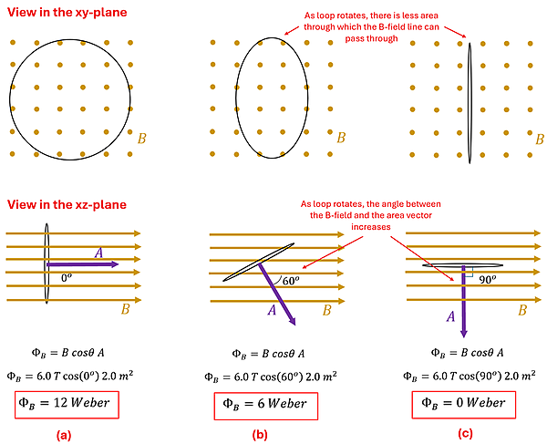 A diagram showing a consistent magnetic field going through a loop of wire in 3 configurations. Perpendicular, at a 60 degree angle, and at a 90 degree angle. The B Cosign Theta resolves to 1, 0.5, and 0 respectively of the 3 orientations, which results in (given 6 Tesla strength and given an area of 2 meters squared in the loop) a value of 12 Webers, 6 webers, and 0 webers.
