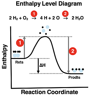 Enthalpy level diagram showing the energy inputs and outputs for the bond breaking and bond forming steps of the water synthesis reaction.