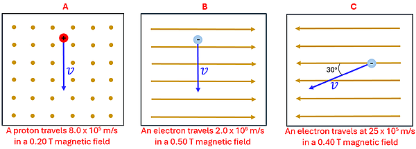 Three diagrams A through C.  Diagram A shows a positive particle traveling down at 8 times 10 to the 5th meters per second through a magnetic field of 0.20 Tesla pointing out of the page (dots).  B shows a negatively charged particle moving down at 2.0 times 10 to the 6th meter per second through a magnetic field of 0.50 Tesla going to the right.  C shows a negatively charged particle moving 30 degrees to the bottom left at a speed of 25 times 10 to the 5th meters per second with a magnetic field of 0.40 Tesla moving to the left.