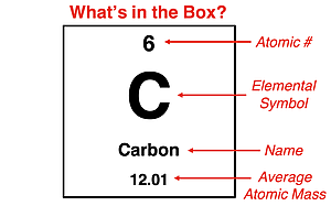 Interpreting the cell of a periodic table.