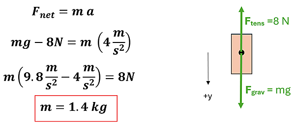 An equation and an illustration are given. The illustration on the right show the weight with 2 force vectors, F sub tens = 8 N and F sub grav = m (mass) times g (acceleration caused gravity). An arrow pointing down shows +y meaning downward direction will be represented as a positive value. The equations are on the left show F net = m a, and we substitute F net for m g - 8 N, and substitute a (acceleration) for 4 meters per second squared. Since g is 9.8 meters per second squared, we solve algebraically to get the mass of 1.4 kg.