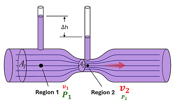 A tube that starts wide (Region 1), narrows (region 2), then widens again is shown. Region 1 is marked in the center of the cross section, and shows a small v sub 1 and a large P sub 1. There is a tube directly above it, and it shows a fluid in the tube high. Region 2 is in the narrow part of the tube, same height as region 1, and has a large V sub 2 and a small P sub 2, and a smaller cross sectional area. A tube is directly above it, but the fluid is not as high as the other tube. There is height difference in the tubes of delta h.