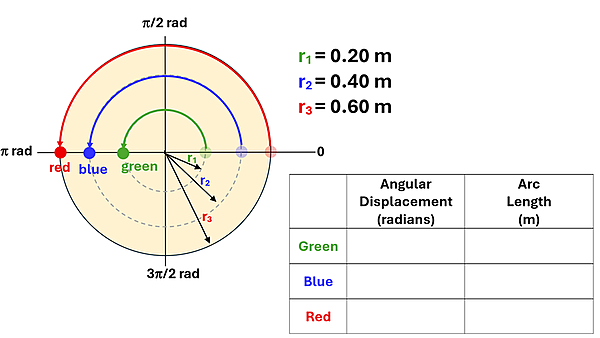 A circle with 3 radius outlined, green 0.20 meters, blue 0.4 meters, and red 0.6 meters. Each start at 0 and make an arc of pi radians (180 degrees). A table is shown to solve, with rows of Green Blue and Red, and Colums of Angular Displacement in Radians and Arc Length in Meters.