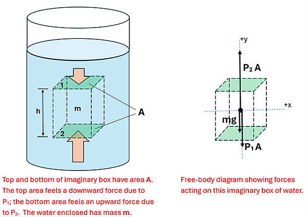 Two illustrations are shown of a container (a rectangular prism h height, with surface area labeled A (area), with a mass labeled m. In the left illustration the object is within a cylinder of water, and there is a small force arrow pushing down on the top face, and a larger force arrow pushing up on the bottom of the bottom face. The text reads Top and bottom of imaginary box have area A. The top area feels a downward force due to P1 (pressure on top surface area labeled 1) and the bottom area feels an upward force due to P2 (Pressure on bottom surface labeled 2). The water enclosed has mass m. To the right of this illustration a force diagram is given for our imaginary box. From the box's center of mass, an upward force arrow P2 A is pointing up, then there is a downward mg force (force of gravity, mass times g) and another downward force P1 A. The free-body diagram showing forces acting on this imaginary box of water.
