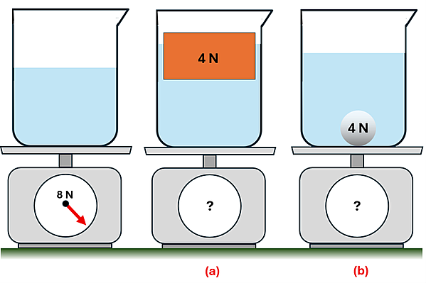 3 beakers of water are shown on a scale, the first with nothing but the water and is 8 Newtons, the second (a) with a 4 newton wood block floating, and the third (b) with a 4 newton steel ball that is sitting on the bottom. The scales for (a) and (b) have a question mark.