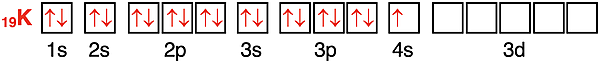 Orbital box diagram showing the configuration of electrons in orbitals for potassium.