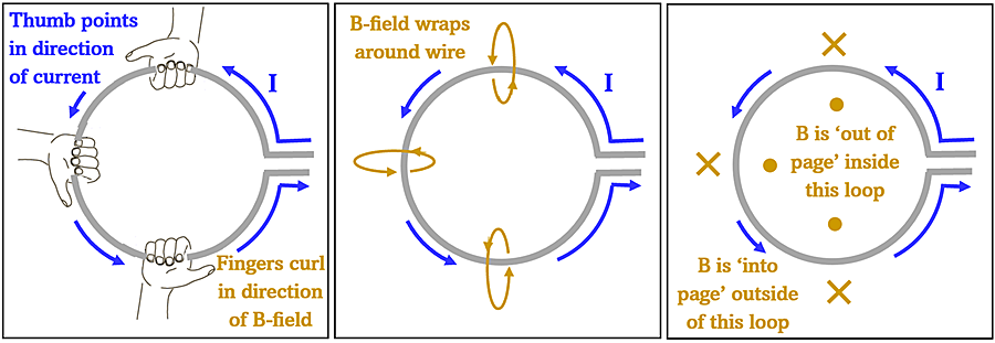 A diagram showing how the right hand rule can show the magnetic field direction in a loop of wire.  Each box has a loop of wire with a counter clockwise flow of current.  The first show three right-hands on the coil, the second box shows the magnetic field direction based on those right hands, the third shows that inside the loop the magnetic field points towards the viewer out of the page (represented by dots), and outside the loop the fields point away from the viewer (represented by x)
