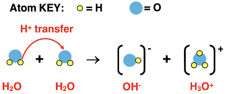 Chemical equation and particle diagram representing water's self-ionization.