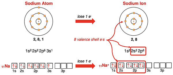 Electron shell diagrams, orbital box diagrams, and electron configurations representing Na forming Na+ ion.