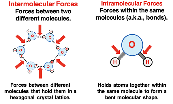 Two particle diagrams of H2O that contrast the difference betrween intermolecular forces and intramolecular forces.