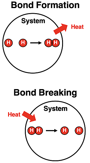 Contrasting system diagrams for bond formation (energy lost from the system) and bond breaking (energy gained by the system).