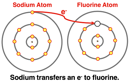 Electron Shell Diagrams: Sodium atom transfers an electron to fluorine atom.