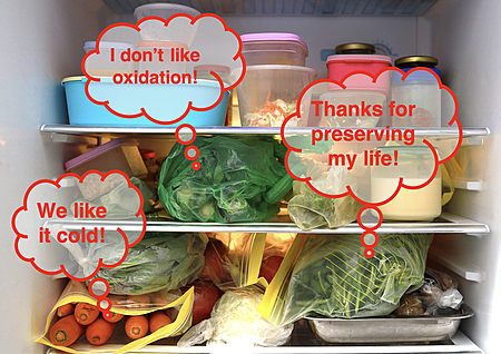 Humorous picture of produce in a refrigerator with thought bubbles referring to the importance of colder temperatures to slow down spoiling rates.