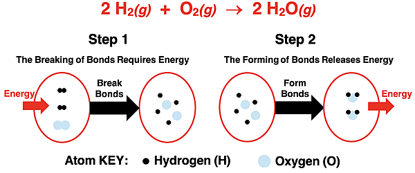 Two system diagrams showing the energy inputs and outputs for the bond breaking and bond forming steps of the water synthesis reaction.