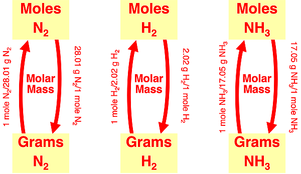 Graphic organizer displaying the relationship between mass N2, H2, or NH3 and the moles N2, H2, or NH3 in the ammonia synthesis reaction.