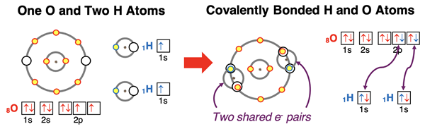 Electron shell and orbital box diagrams showing how one O atom and two H atoms share electrons to satisfy the octet and duet rule.