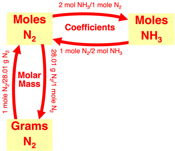 Flow diagram illustrating conversion factors linking grams of a reactant to moles of a product in stoichiometry; specific to ammonia synthesis reaction.