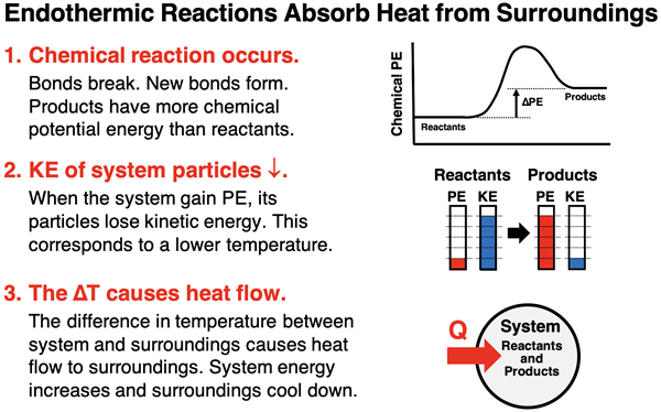 A 3-step sequential diagram showing how endothermic reactions create a temperature differential, thus leading to the flow of heat from surroundings to system.