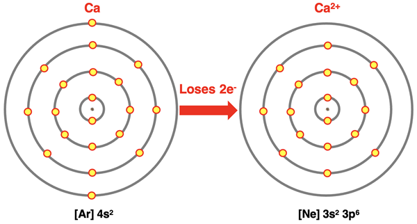 Electron shell diagrams for Ca and its 2+ ion.
