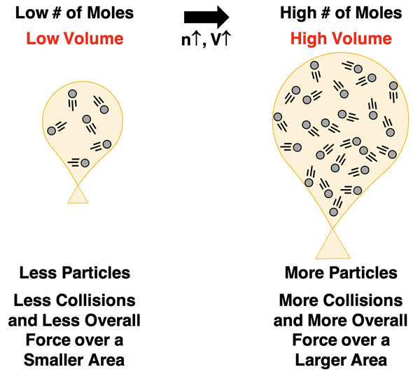 Two balloon diagrams – low # of moles vs. large # of moles. Increasing the # of particles increases the # of collisions and the overall force on the walls. To keep pressure constant, the volume increases. This increases the area over which the collisions occur and keeps the ratio of force/area constant.