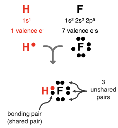 Electron dot diagrams used to show how H and F share electrons to form a covalent bond.