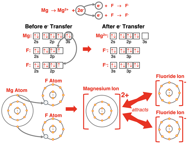 Electron shell and orbital box diagrams showing how Mg and two F atoms satisfy the octet rule by forming ionic bonds.