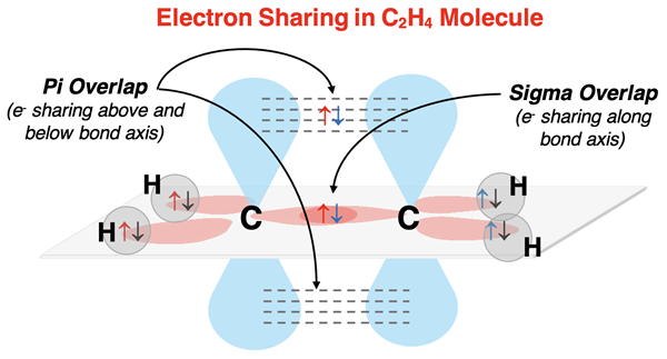 Visual model showing hybridization, sigma overlap and pi bonding overlap in C2H4.