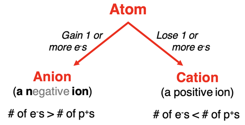 Schematic diagram showing the difference between an anion and a cation in terms of the # of protons and # of electrons