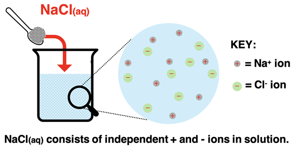 Diagram depicting aqueous NaCl with dissolved ions.