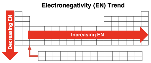 A periodic table with two arrows to show the across a period trend and the down a column trend in electronegativity.