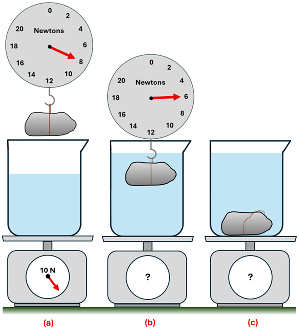 An 8 Newton rock over a 10 Newton flask that's on top of a weight, in 3 positions.  In the first position (a) the rock is above the water and attached to a scale showing 8 newtons.  The flask of water is on a scale and the scale shows 10 Newtons for the flask and water.  In position B, it shows the rock submerged in the water, and the scale it's attached to now shows 6 newtons (no water spilled), and the scale has an unknown weight on it.  In position C, the rock is no longer attached to the scale, and is sitting on the bottom of the water flask, again the scale below the flask has an unknown value.